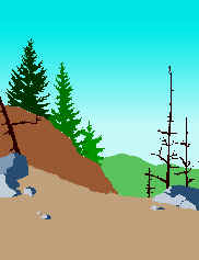 Forest.wmf (42694 bytes)